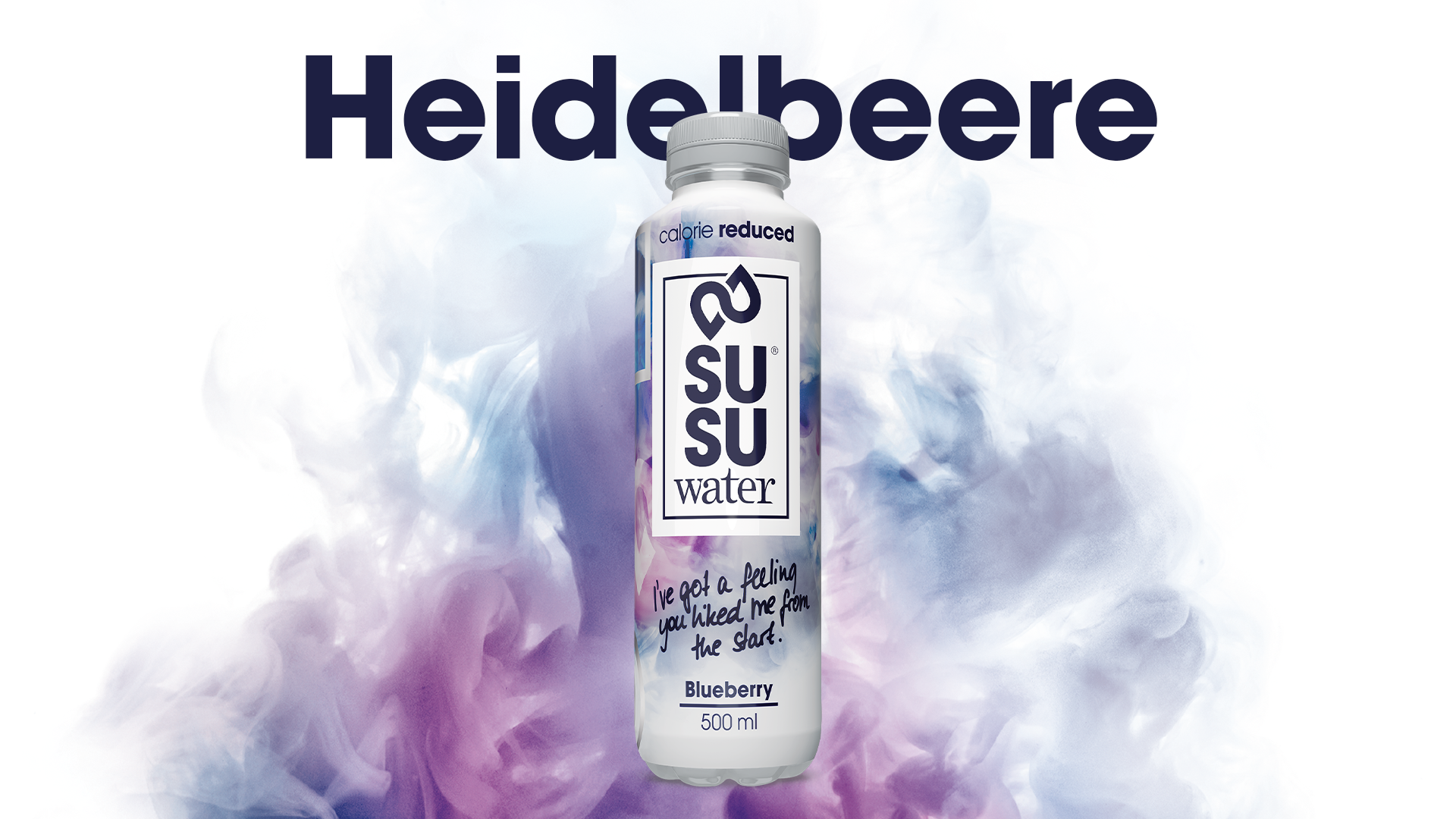SU2023_Heidelbeere